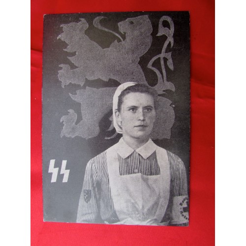 Flandern der Waffen-SS Postcard # 5624