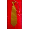 SA/Political Leader's Tie