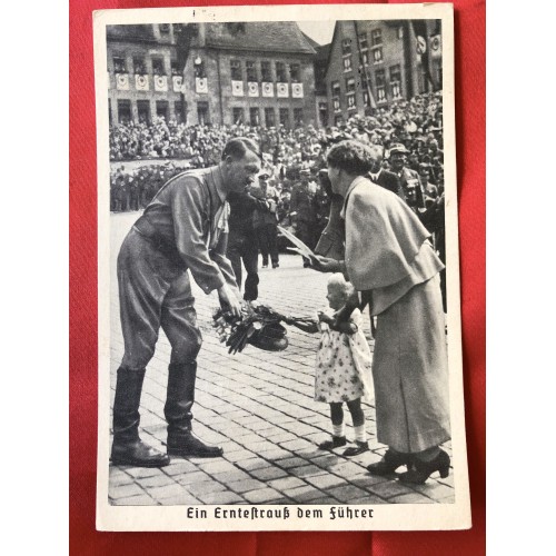 Ein Erntestrauss dem Führer Postcard