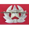 Russian Cap Badge  # 6620