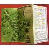Dresdner Bank Brochure