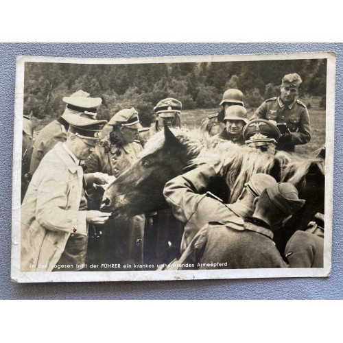 In den Vogesen trifft der Führer ein krankes umherirrendes Armeepferd Postcard