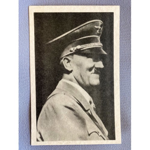 Hitler Postcard # 7389