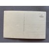 Reichskanzler Adolf Hitler Postcard # 7587