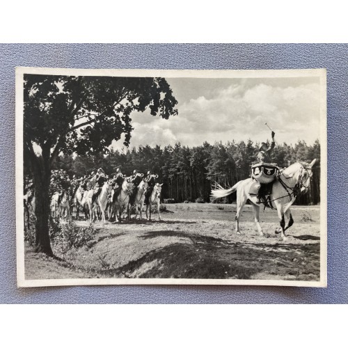 Unsere Waffen-SS Postcard # 7610