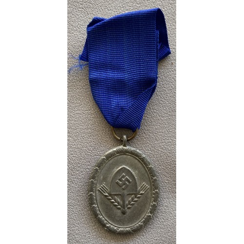 RAD 12 Year Medal