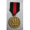Cased Sudetenland Medal