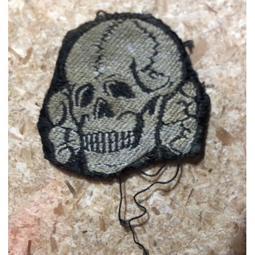 SS Bevo Skull # 5091