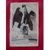 Nuremberg Eagle Postcard # 1717