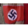 Ortsgruppen NSDAP Brownshirt