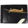 NS BiPlane Album Decor