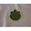 Kreistag Pin # 2406