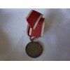 Social Welfare Medal # 2667