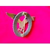 Pilot Observer Badge 