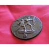 1938 Reichsparteitag Medallion # 3920