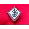 NSKOV Honor Badge 