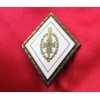 NSKOV Honor Badge with Oakleaves