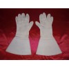 NSDAP Standard Bearer Gloves # 614