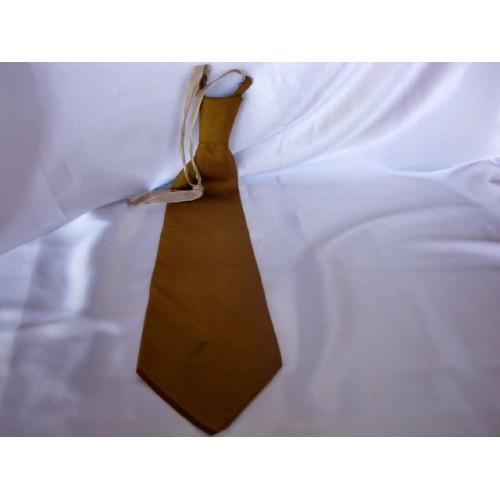 Political Leader's Tie # 2793